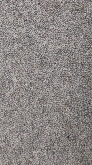 >CALEDONIA DELUXE 50 SEAGULL 